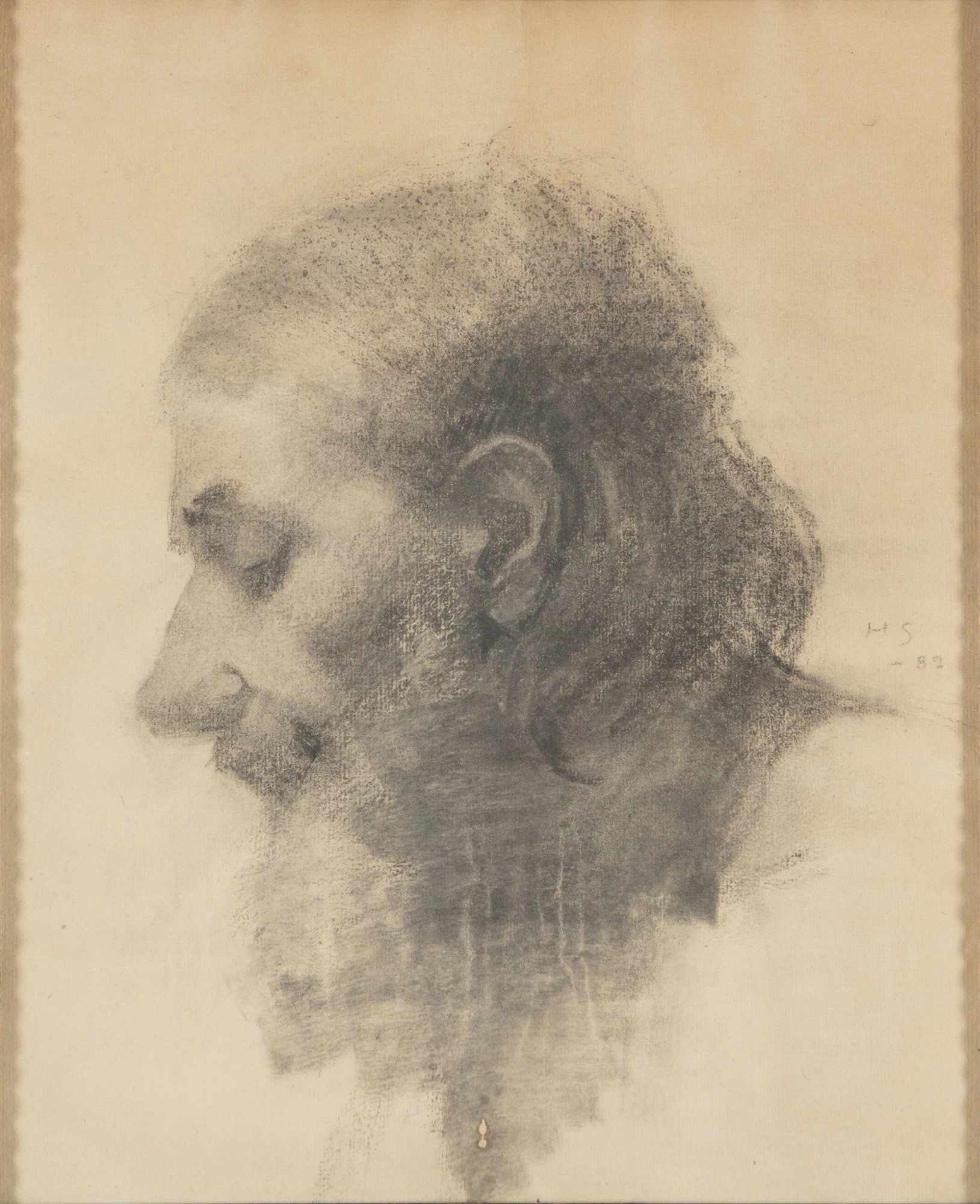 Testa di uomo